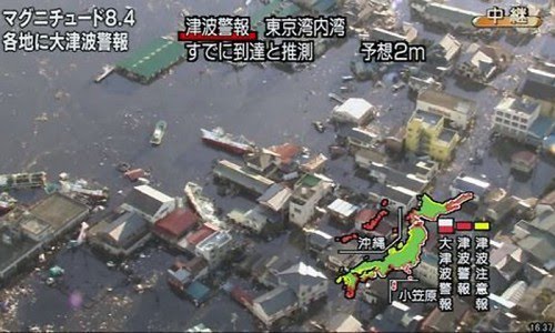 Il terremoto in Giappone �