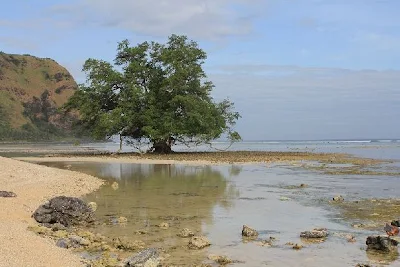 pantai rako, pantai terbaik di flores