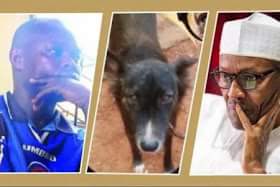 Jubilation! Court frees man who named his Dog Buhari in Ogun 