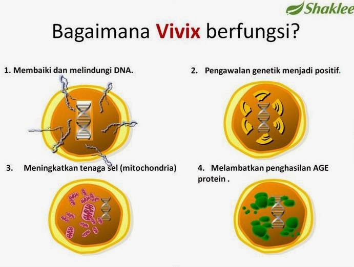 Sejarah Keluarga Menjadi Faktor Risiko Yang Tinggi Untuk 