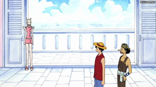 ワンピース アニメ 空島 スカイピア 154話 | ONE PIECE Episode 154 Skypiea