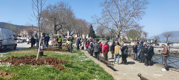 Δέντρα- σύμβολα μνήμης στην πλατεία Μαβίλη 