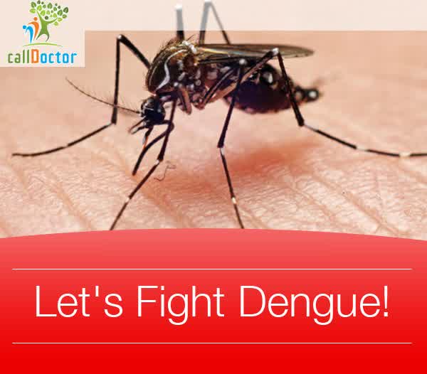 Symptoms of Dengue Hemorrhagic Fever And First Aid