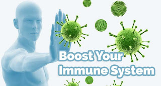 how to boost up immune protection; boost your immune system naturally; shaklee immune set; triple immune protection; protein shaklee; multivitamin shaklee, fish oil shaklee, omega 3 shaklee; nutriferon shaklee; carotomax shaklee; garlic shaklee; vitamin c shaklee; vivix shaklee; resv shaklee