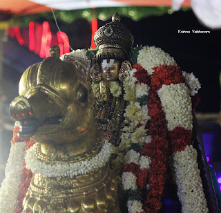 Udaiyavar,Emperumanar,Parthasarathy Perumal,Ramanujar, Varushotsavam, 2018, Video, Divya Prabhandam,Triplicane,Thiruvallikeni,Utsavam,