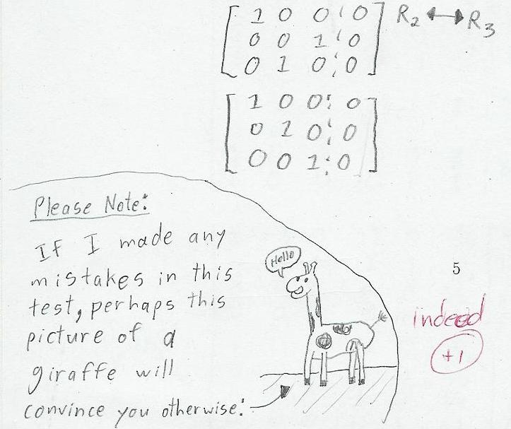 FunnY anSwers FunnY anSwers