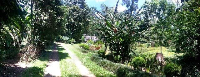 Parque Ibirapuera - Escola de Jardinagem