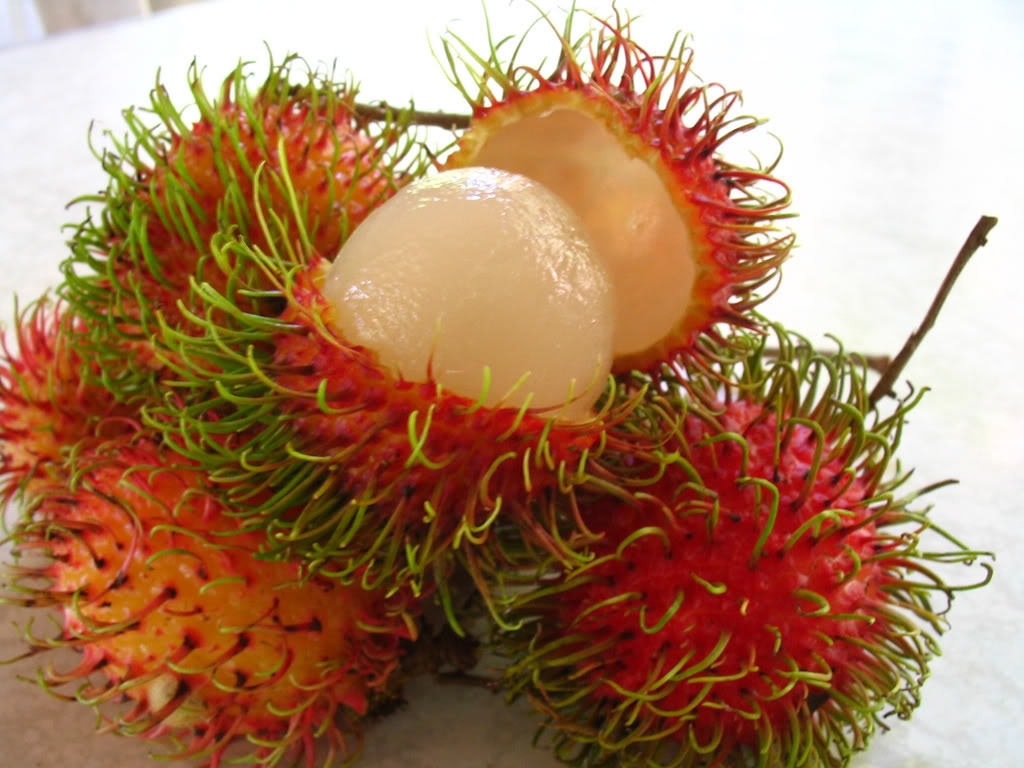 manfaat buah rambutan  kesehatan artikel bermanfaat