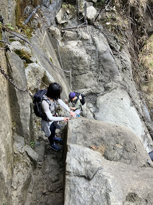 嘉義,阿里山,眠月線,沼平車站