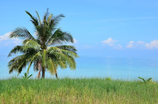 Koh Rong - Pagoda Beach