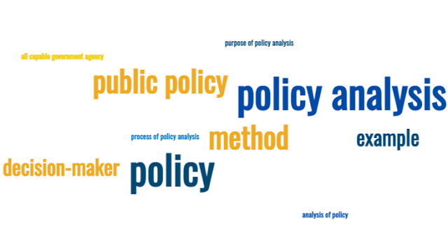 policy analysis, policy analyst