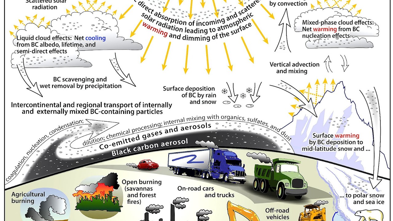 Causes And Effect Of Global Warming