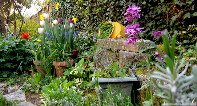 Notre jardin fleuri - http://spicerabbits.blogspot.fr/