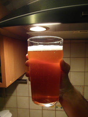 English India Pale Ale - degustacja