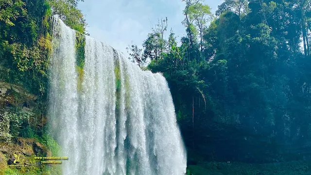 Thác dambri bảo lộc