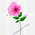 FREE Pink Flower