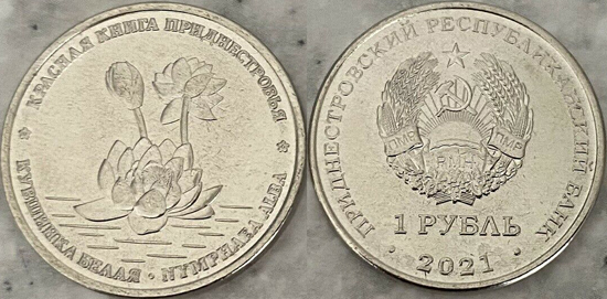 Transnistria 1 ruble 2021 - White water lily