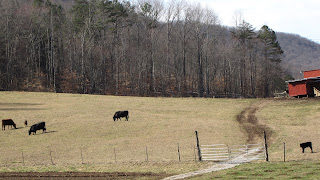 Spring Creek Farm Tennessee, WWOOF USA