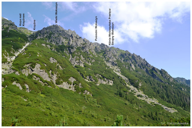 Opisana Panorama z Doliny Roztoki - Wołoszyn