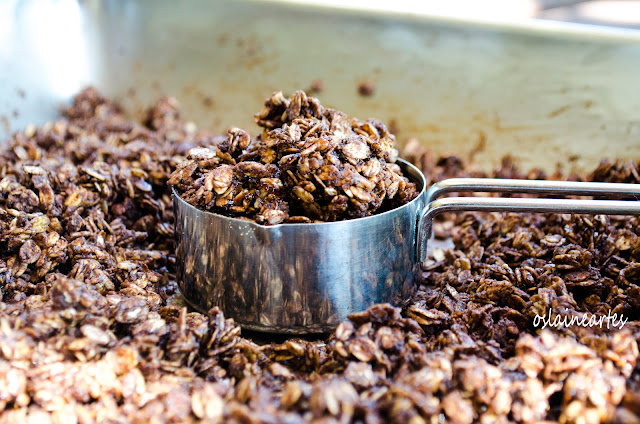 Granola de Chocolate