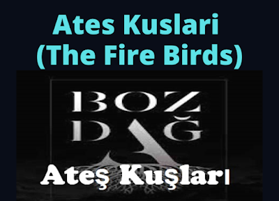 Ates Kuslari (Firebirds) Drama Story, Release Date and Cast Details