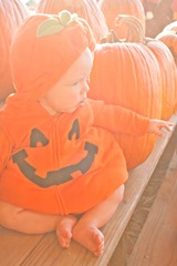 IMG_7201-1