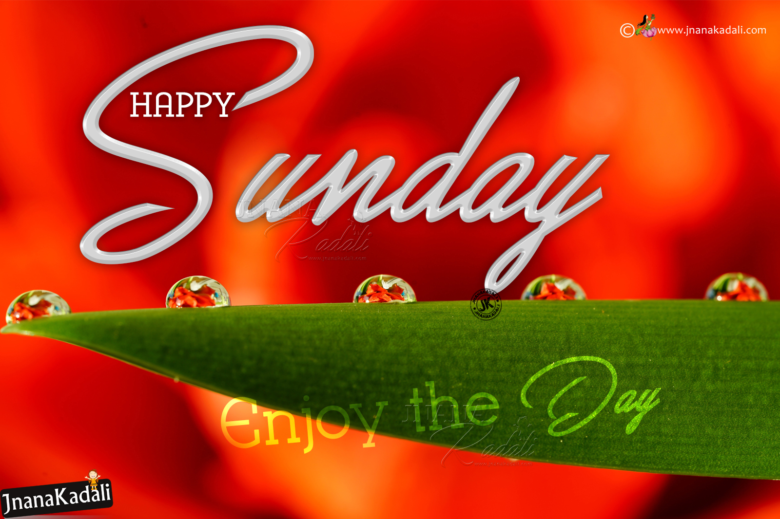 Happy Sunday Greetings in English-Enjoy Sunday Wallpapers Greetings