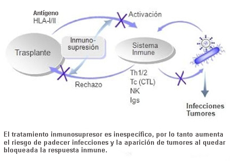 Efectos secundarios de los medicamentos inmunosupresores