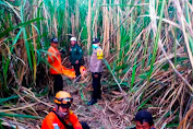 Polisi Bersama BPBD dan Warga Berhasil Temukan Lansia Yang Dikabarkan Hilang di Lahan Tebu Situbondo