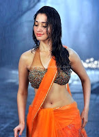 Tamanna, hot, navel, show, in, sexy, wet, saree