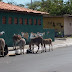 Centro de Ilha Grande "a cidade Turística " 
