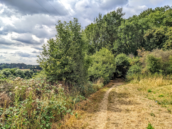 Entering a wooded stretch along Hertingfordbury bridleway 2