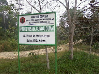 hutan wisata sungai dumai