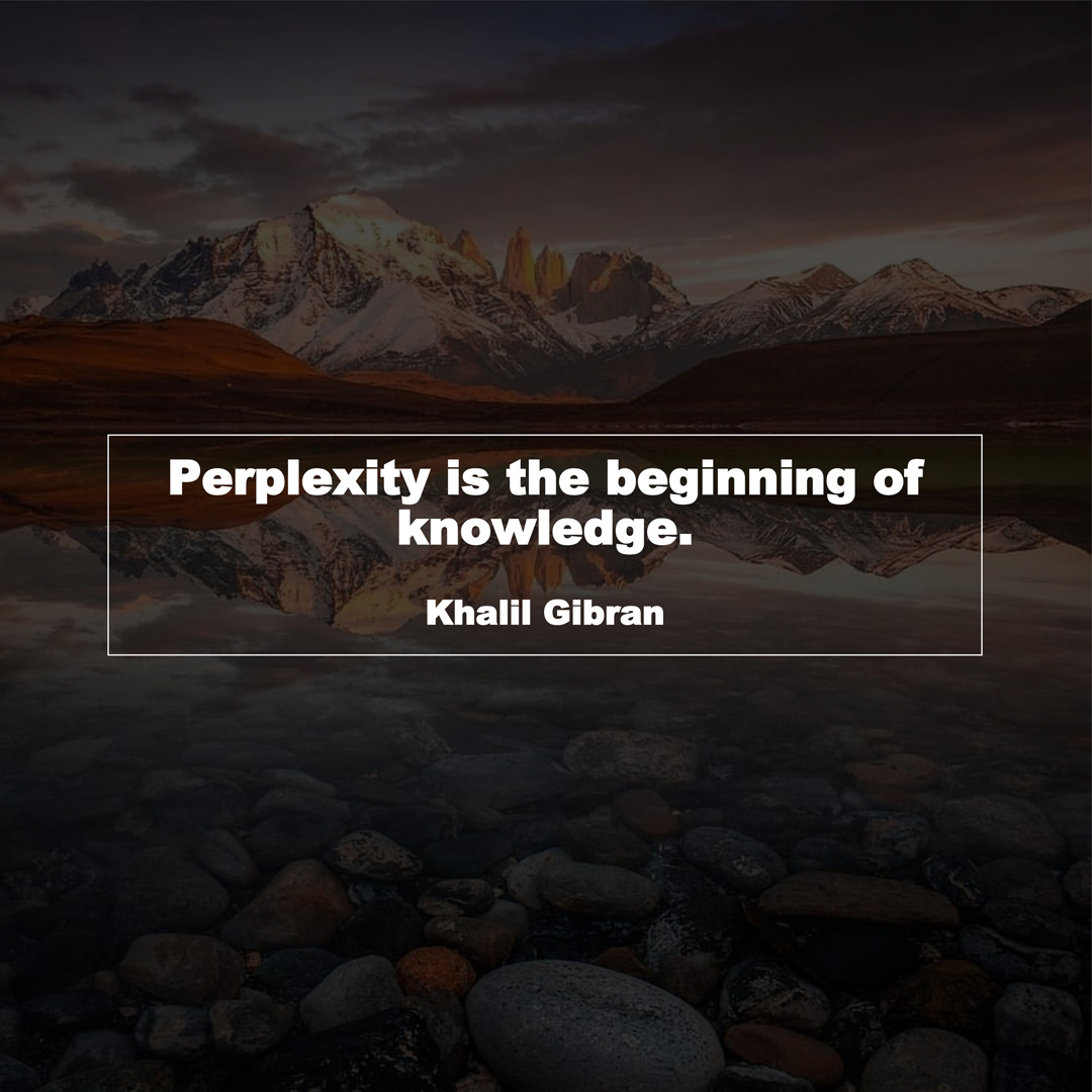 Perplexity is the beginning of knowledge. (Khalil Gibran)