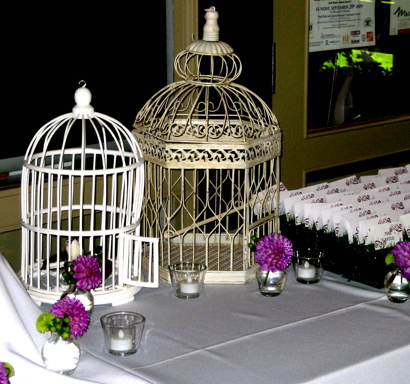 Ryan Angie used cages in their bird motif to hold cards as guests arrived