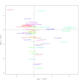 analyse sémantique sur les classes documents UMMO