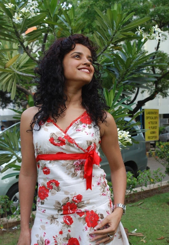 Actress Piaa Bajpai  Ko Movie Premiere Show Images Photoshoot images