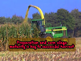 Preparation and corn silage maturity is key to successful harvest