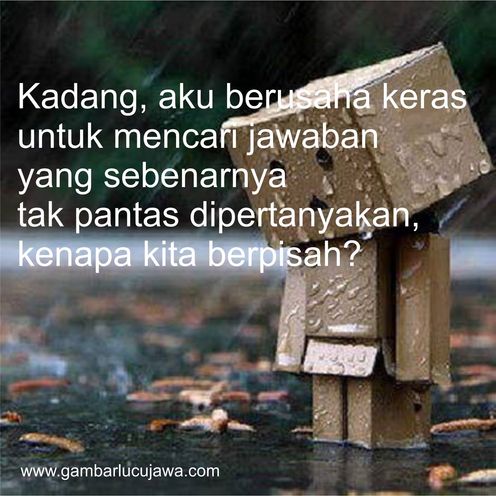 Gambar Dan Kata Kata Lucu Kicau Mania Stok Gambar Lucu Gambar Dan Kata Kata Lucu Kicau Mania Stok Gambar Lucu