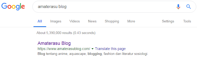 cara membuat deskripsi blog supaya tampil di halaman penelusuran google.