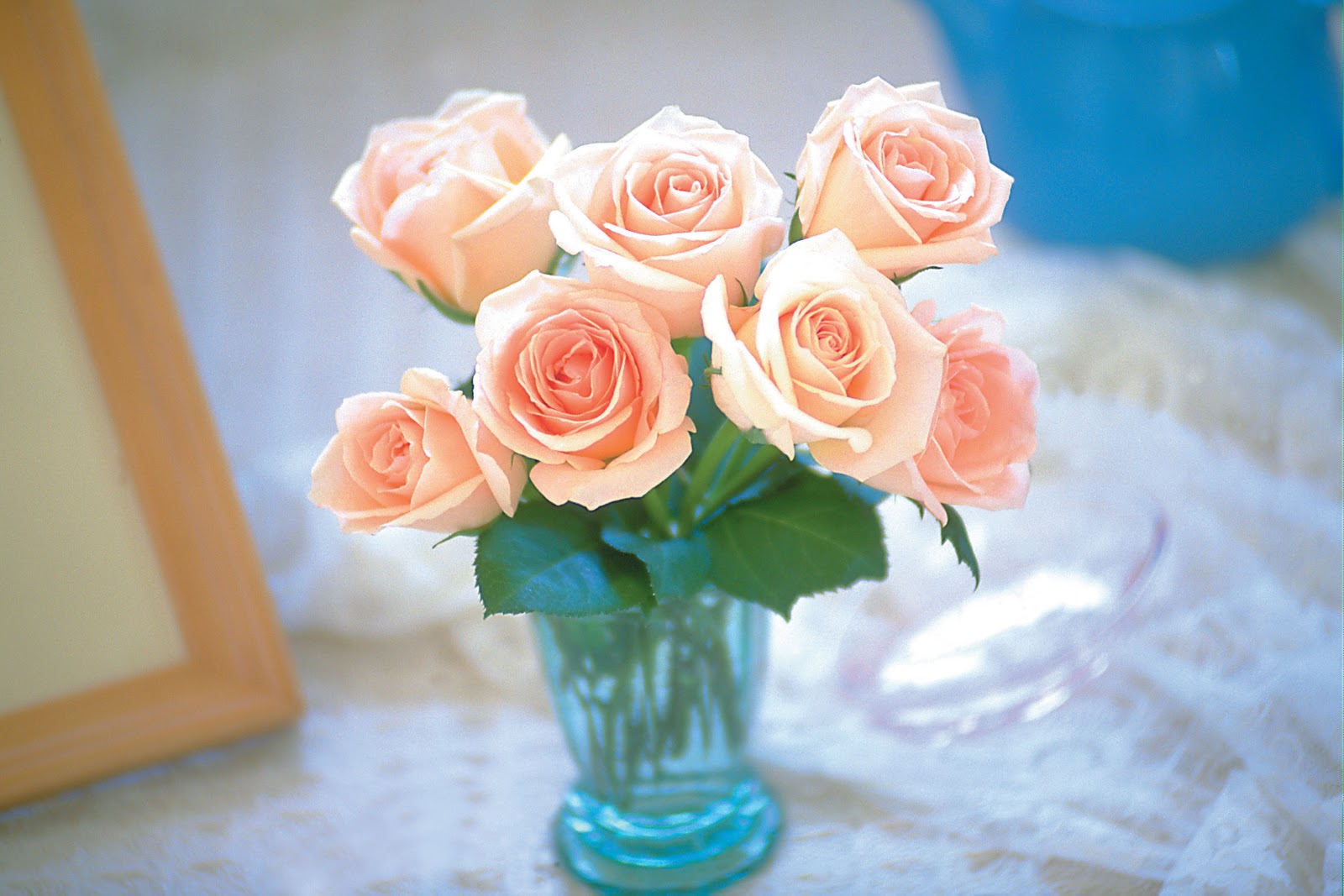 The photos of romantic roses - Part 2