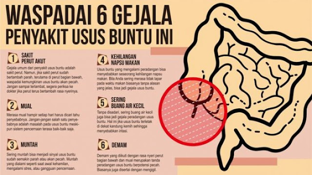  Bagi anda yang sering mengalami sakit perut 14 Obat Sakit Perut Melilit Alami untuk Anak dan Orang Dewasa Paling Ampuh 