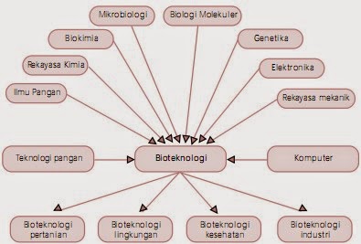 Contoh Perkembangan dan Prinsip Dasar Bioteknologi 