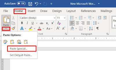 paste-special-command-in-ms-word-bangla