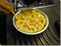 tatin 8