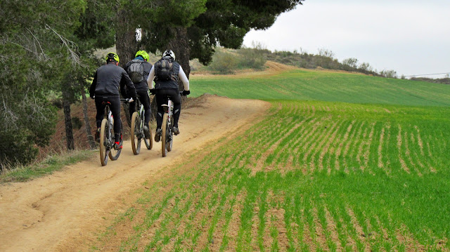 AlfonsoyAmigos - Rutas Mtb - Alcalá de Henares