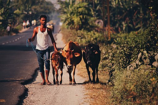 मनरेगा योजना क्या है