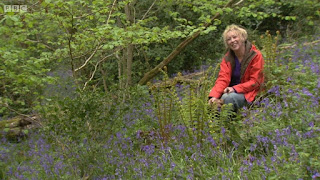 Carol Klein in woodlands