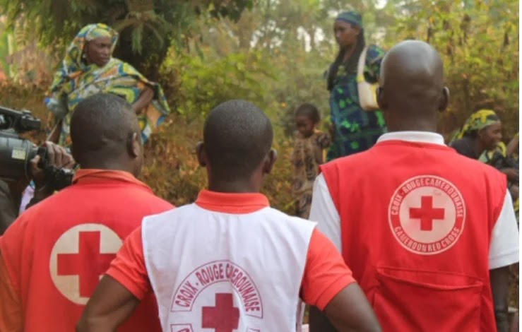 Recrutement Croix-Rouge pour l'Afrique centrale
