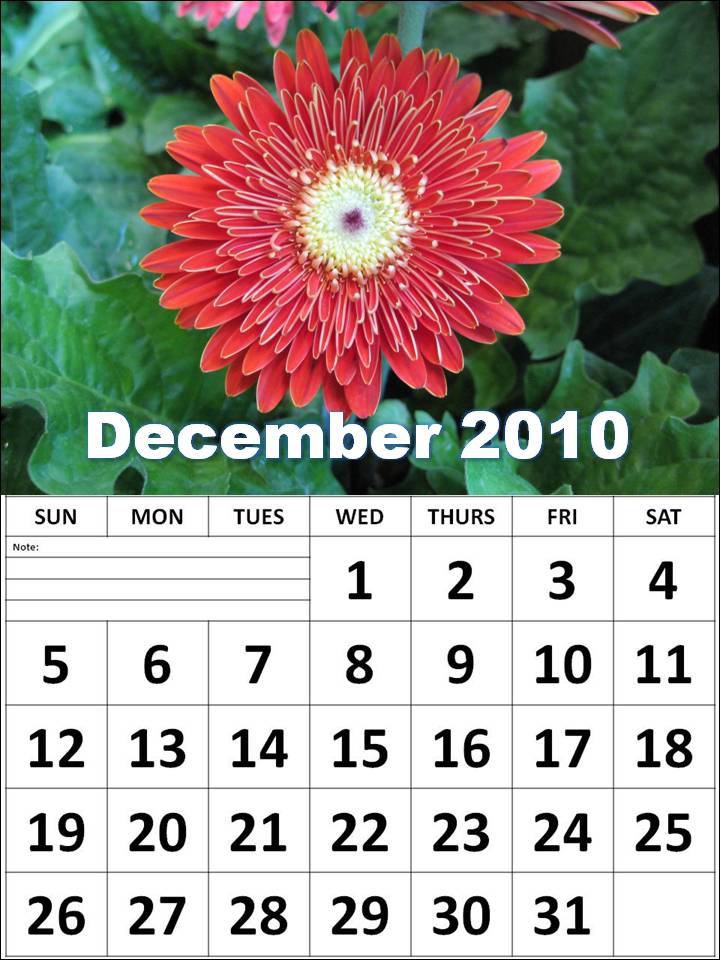 december 2010 calendar. december 2010 calendar